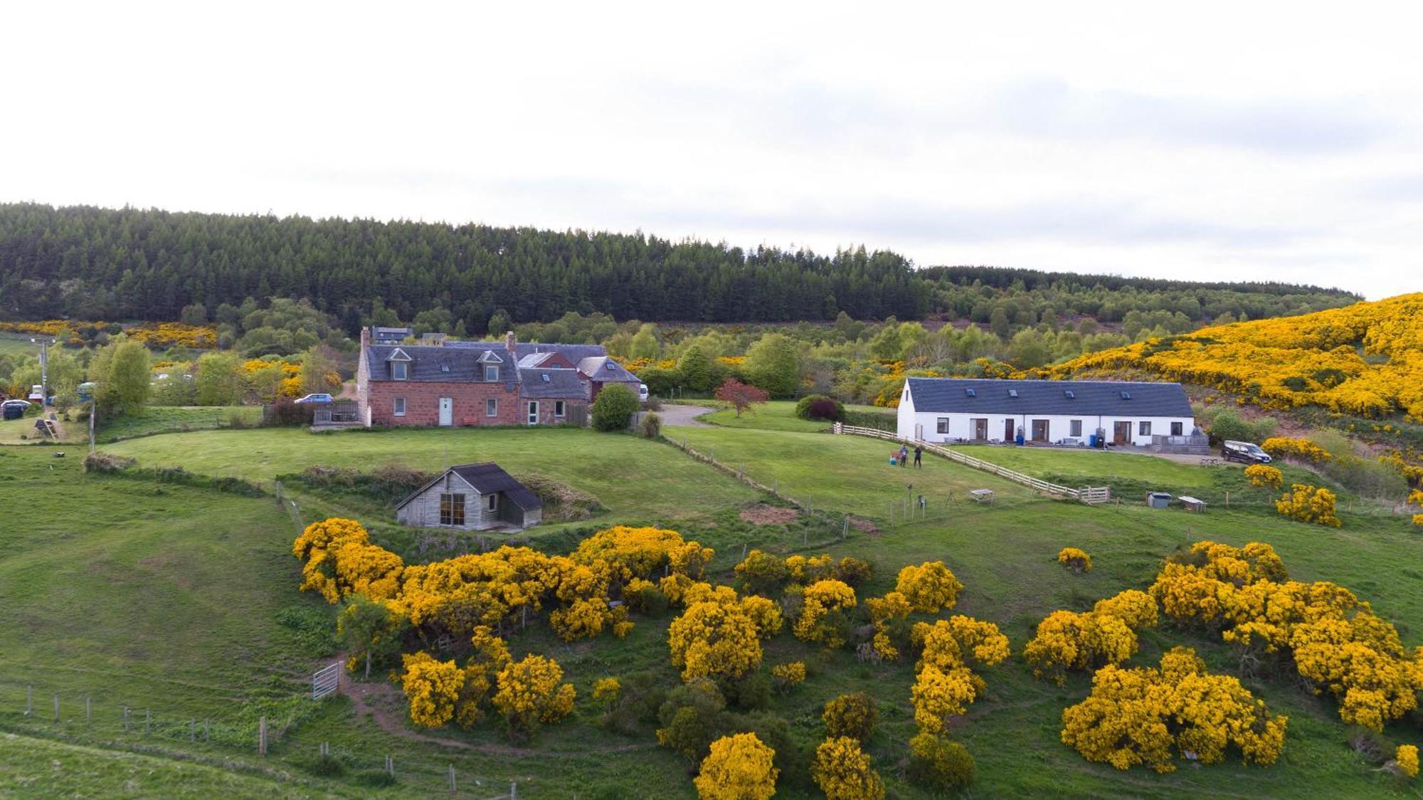 Appartamento Dolphin View Hillockhead Rosemarkie Esterno foto